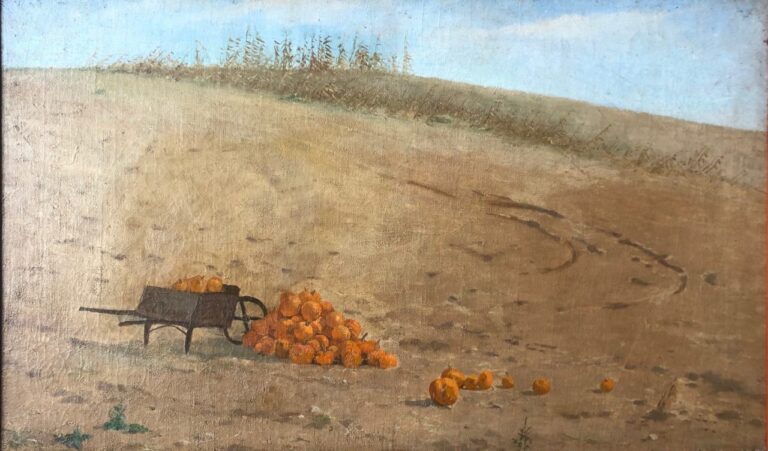 Pumpkins in the Field