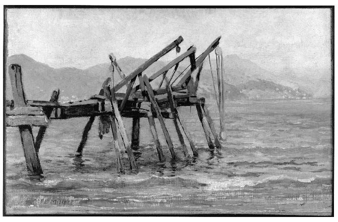 Seacoast